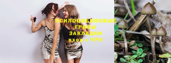 скорость Зеленодольск