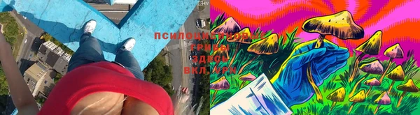 прущая мука Майский