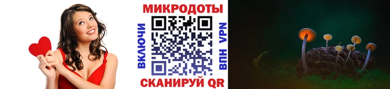 ссылка на мегу ССЫЛКА  Инсар  Псилоцибиновые грибы GOLDEN TEACHER  где найти наркотики 